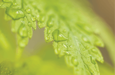 Adobe Stock 200443942 Fmt