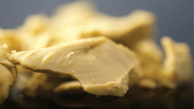 Adobe Stock 208808997 Fmt