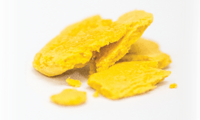 Adobe Stock 209638606 Fmt