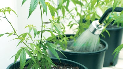 Adobe Stock 99025172 Fmt