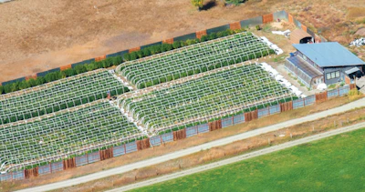 Aerial Farm Fmt