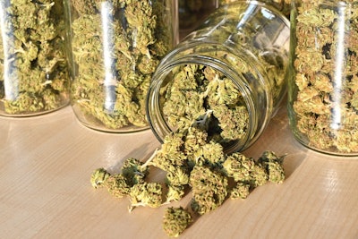 Bud In Jars Adobe Stock Credit Soru Epotok