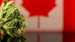 Canadian Flag Marijuana Adobe Stock Credit Konrad Resized