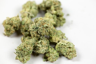 Cannabis Bud Adobe Stock Credit Pattersonic Resized