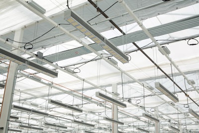 Fluence Vyp Rx Plus At Med Men Fmt