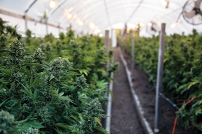 I Stock 831452848 Fmt