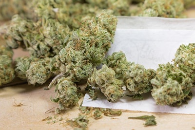 Marijuana Adobe Stock Credit Capjah Resized