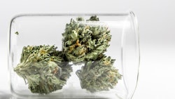 Marijuana In Test Tube Adobe Stock Credit Mitch Resized