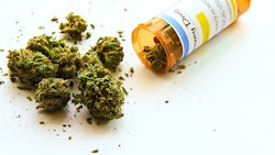 Medical Marijuana Adobe Stock Credit Atomazul Resized