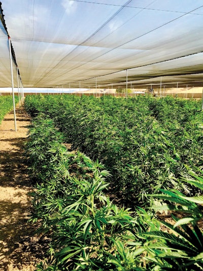 Outdoor Under Shade Cover Fmt