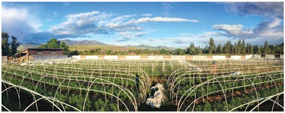 Pano Farm Profile Fmt