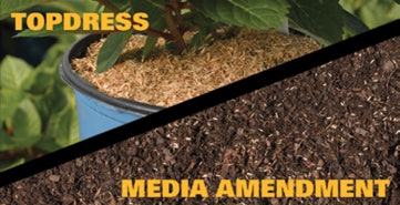 Pbh Todress And Media Fmt
