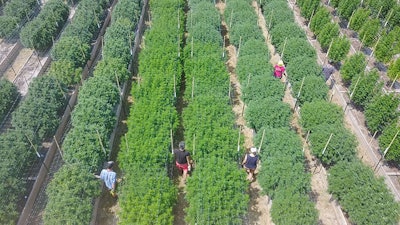 Pf Select Aerial 25 Resized