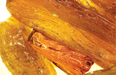 1 Shatter Norwegian Wood Fmt