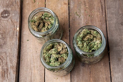 Buds In Glass Jars Adobe Stock Credit Aleksandar Kamasi Resized