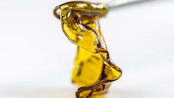 Cannabis Concentrate Adobe Stock Credit Mitch Resized