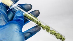 Cannabis Testing Adobe Stock Credit Mitch Resized