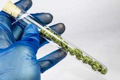 Cannabis Testing Adobe Stock Credit Mitch Resized