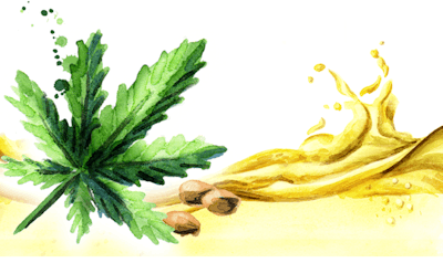 I Stock 938982438 Fmt