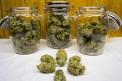 Marijuana Buds In Jars Adobe Stock Credit Brent Resized