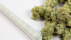 Marijuana Joint Bud Adobe Stock Credit Pattersonic Resized