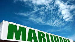 Marijuana Sign2 Adobe Stock Credit Jdoms Resized