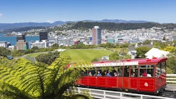 New Zealand Curioso Photog