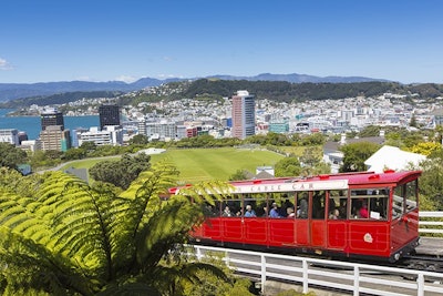 New Zealand Curioso Photog