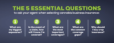 Questions Infographic Resized