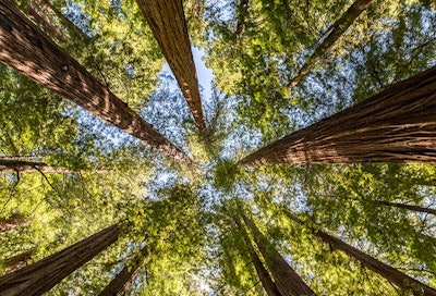 California Humboldt County