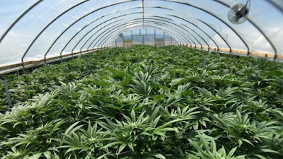 Hi Fi Farms2 Resized