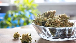 Marijuana In Bowl Adobe Stock Credit Eight8 Resized