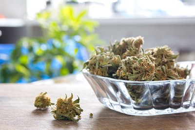 Marijuana In Bowl Adobe Stock Credit Eight8 Resized
