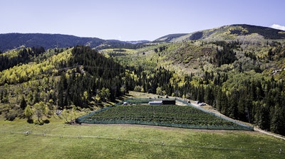 Pot Zero 56 Jake Resized