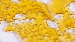 Shatter