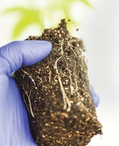 Adobe Stock 200718963 Fmt