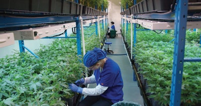 Agrima Botanicals Veg Room Ascent Fmt