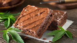 Brownies Adobe Stock Credit Fudio Resized