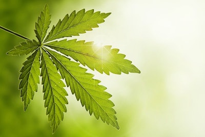 Cannabis Leaf Light Background Adobe Stock Credit Wabeno Resized