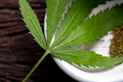 Cannabis Leaf On Dish Adobe Stock Credit Sinhyu Resized
