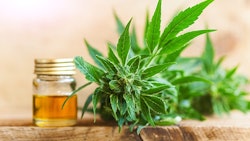Cbd Oil And Leaves Adobe Stock Credit Elroi Resized