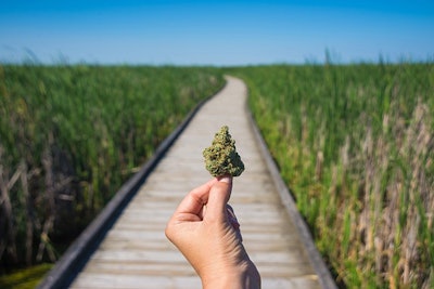 Hand Holding Cannabis Bud Against Trail Adobe Stock Credit Rgbspace Resized