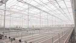 Niagara Pm Rendon Photography Resized