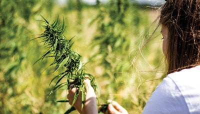 Adobe Stock 221341273 Fmt