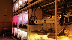 Display Greenseal Rd Row 4 Fmt