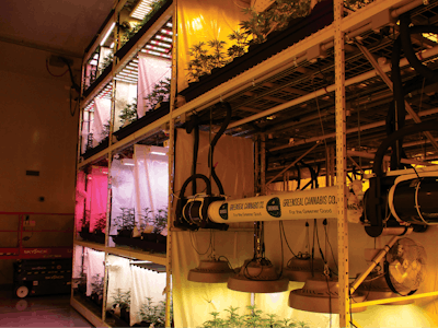 Greenseal Rd Row 4 Fmt