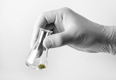 Hand Holding Marijuana Bud In Test Tube Adobe Stock Credit Forance Resized
