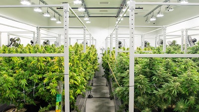 Med Pharm Grow Room Resized