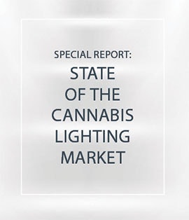 cannabis lighting
