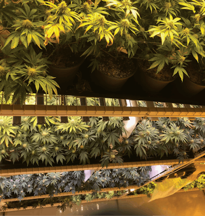 Top View Of Rack Fmt